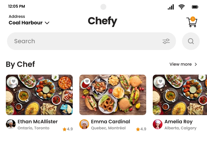 custom web application development